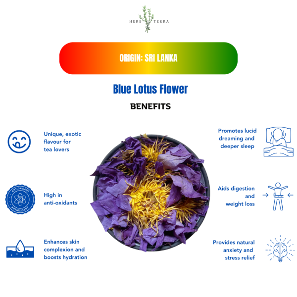 Blue Lotus Flower Benefits
| Herb terra