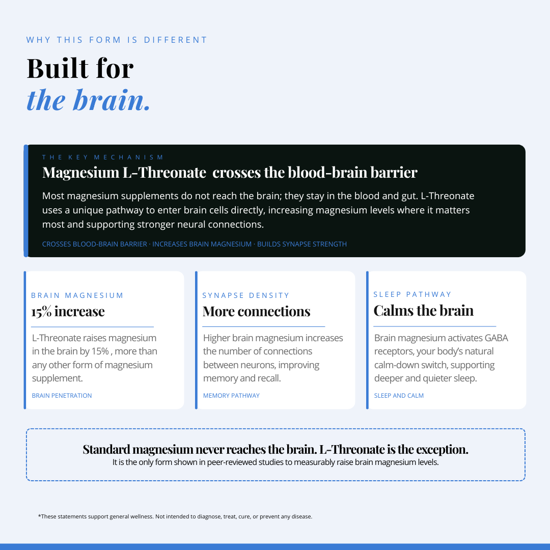 Brain Boost Bundle Set