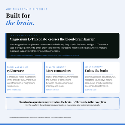 Brain Boost Bundle Set
