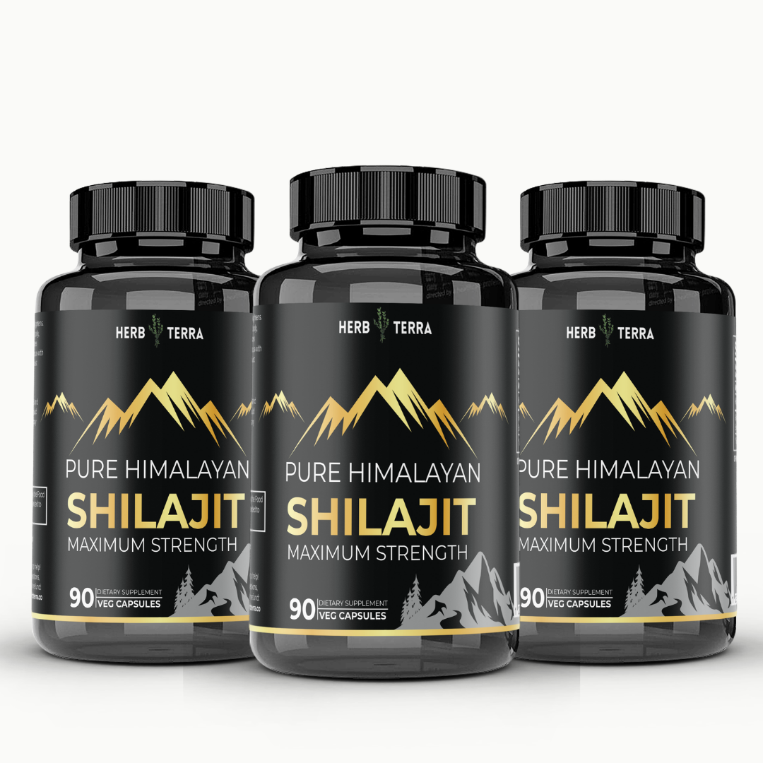 [Bundle of 3] Herb Terra Shilajit  2000mg - Vitality, Stamina & Immune Support (3 x 90 capsules)