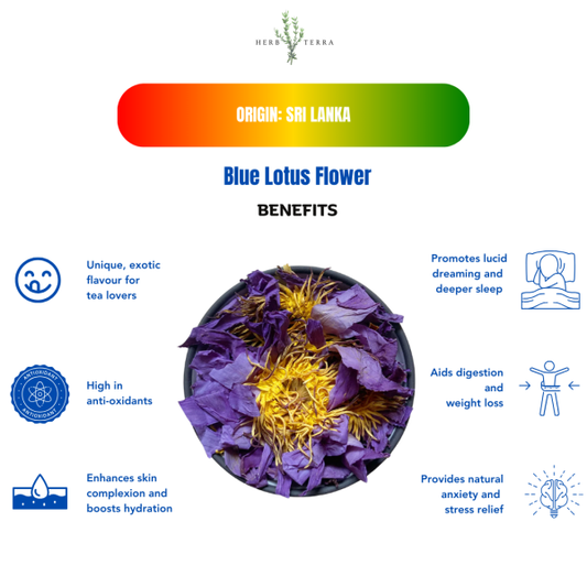 Blue Lotus Flower Benefits 
| Herb terra