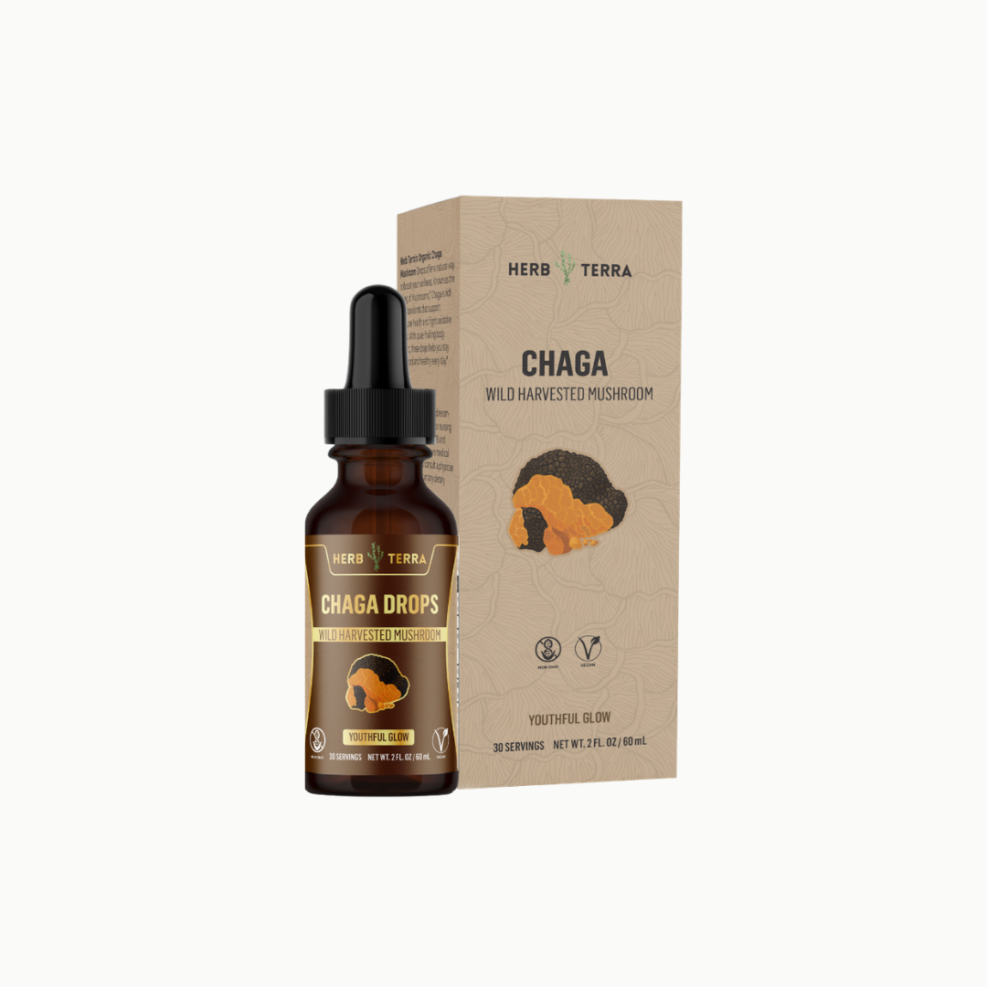 Herb Terra Chaga Drops bottle and packaging on a white background